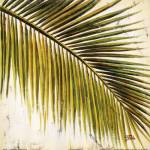 Baru Palm III by Patricia Pinto