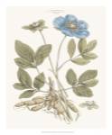 Bashful Blue Florals I by John Miller