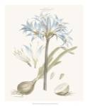 Bashful Blue Florals II by John Miller