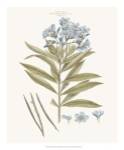 Bashful Blue Florals III by John Miller
