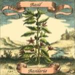Basil by Johan Theodore De Bry