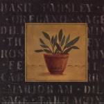 Basil by Carol Robinson