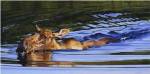 Bathing Beauty by Julie Chapman