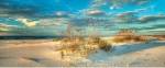 Beach Dream II by Doug Cavanah