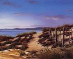 Beach Path by J.T. Vegar