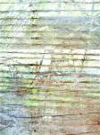 Beach Reflections I by Danielle Harrington