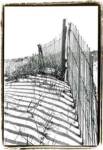 Beach Scape IV by Laura Denardo