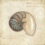 Beach Treasures III by Emily Adams