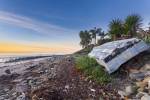 Beached by Chris Moyer