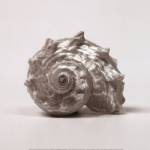 Beachside Treasure III by Assaf Frank