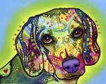 Beagle by Dean Russo