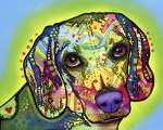 Beagle by Dean Russo