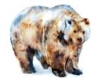 Bear Blue by Edward Selkirk