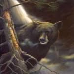 Bear Portrait by Leo Stans