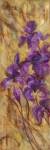 Bearded Iris VII by Li Bo