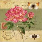 Beautiful Garden II by Jane Maday