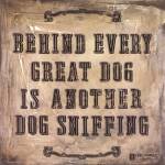 Behind Every Dog by Embellishments Studio