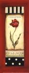 Belgian Tulip II - Petite by Kimberly Poloson