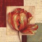 Bella Donna I - Petite by Pamela Gladding