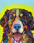 Bernese Mountain Dog by Dean Russo