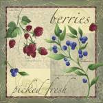 Berry Patch by Fiona Stokes-Gilbert