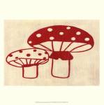 Best Friends- Mushrooms by Chariklia Zarris
