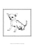 Best in Show II by Megan Meagher