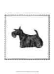 Best in Show IX by Megan Meagher