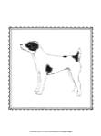 Best in Show VI by Megan Meagher