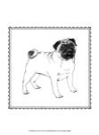 Best in Show VII by Megan Meagher