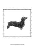 Best in Show X by Megan Meagher