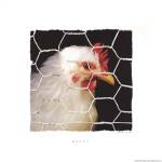 Betty by Stephanie Marrott