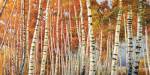 Betulle d'autunno by Adriano Galasso