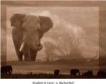 Big Bad Bull by Henry