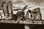 Big Foot by Barry Hart