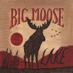 Big Moose Lake by Becca Barton