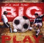 Big Play - Soccer by Robert Downs