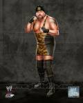 Big Show 2013 Posed