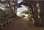 Big Sur by Michael Cahill