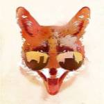 Big Town Fox by Robert Farkas