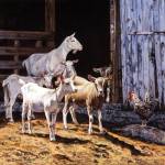 Billy and the Kids by Bonnie Mohr