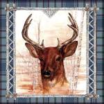 Birch Frame Plaid- Deer by Sher Sester