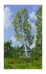 Birch Tree Near Dwelling by Ilya Yatsenko