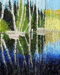 Birch Tree Reflections by Kevin Dodds