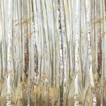Birchscape II by Allison Pearce