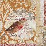 Bird Collage Study I by Katie Pertiet