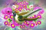 Bird Collection 40 by Ata Alishahi