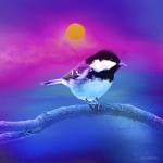 Bird Collection 8 by Ata Alishahi