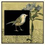 Bird Fantasy I by Jennifer Goldberger