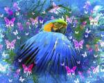 Bird In Color by Ata Alishahi